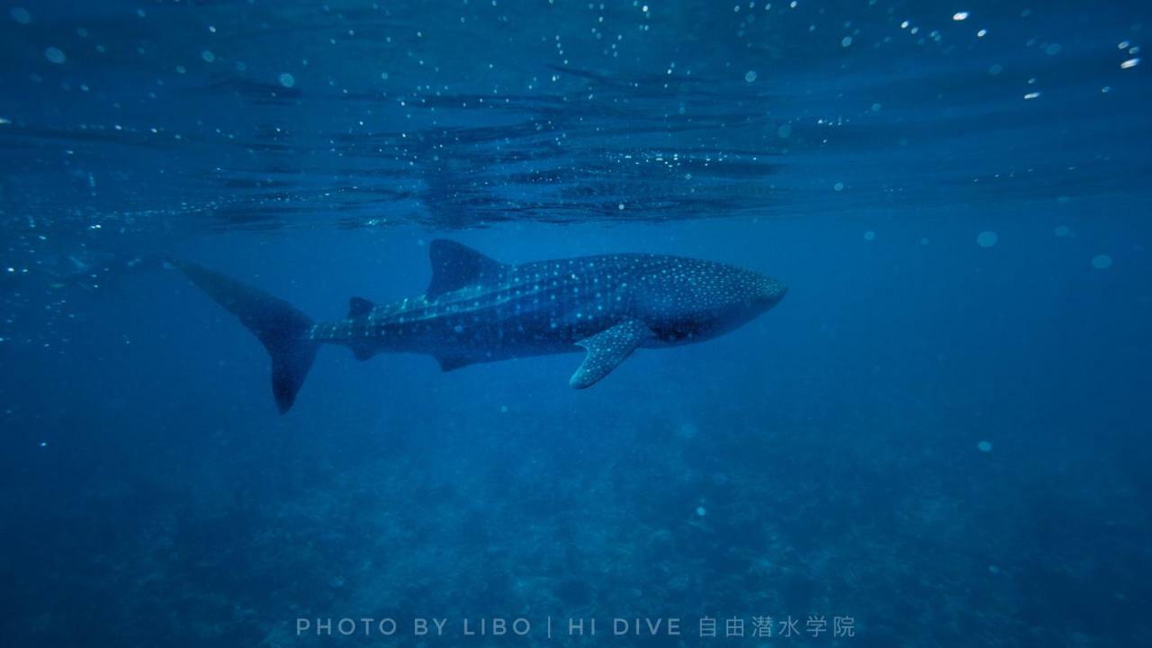 Ithaa Dhigurah Maldives Dhigurah (Alif Dhaal Atoll) Dış mekan fotoğraf
