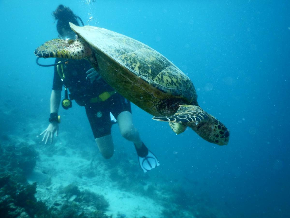 Ithaa Dhigurah Maldives Dhigurah (Alif Dhaal Atoll) Dış mekan fotoğraf