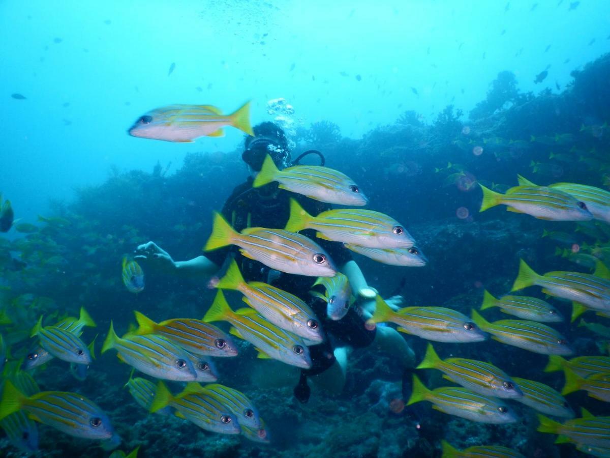 Ithaa Dhigurah Maldives Dhigurah (Alif Dhaal Atoll) Dış mekan fotoğraf